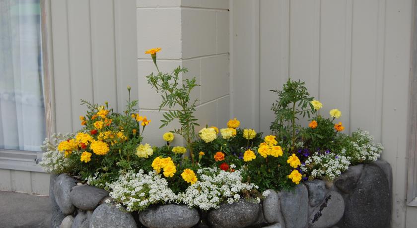 Tongariro River Motel トゥランギ 部屋 写真