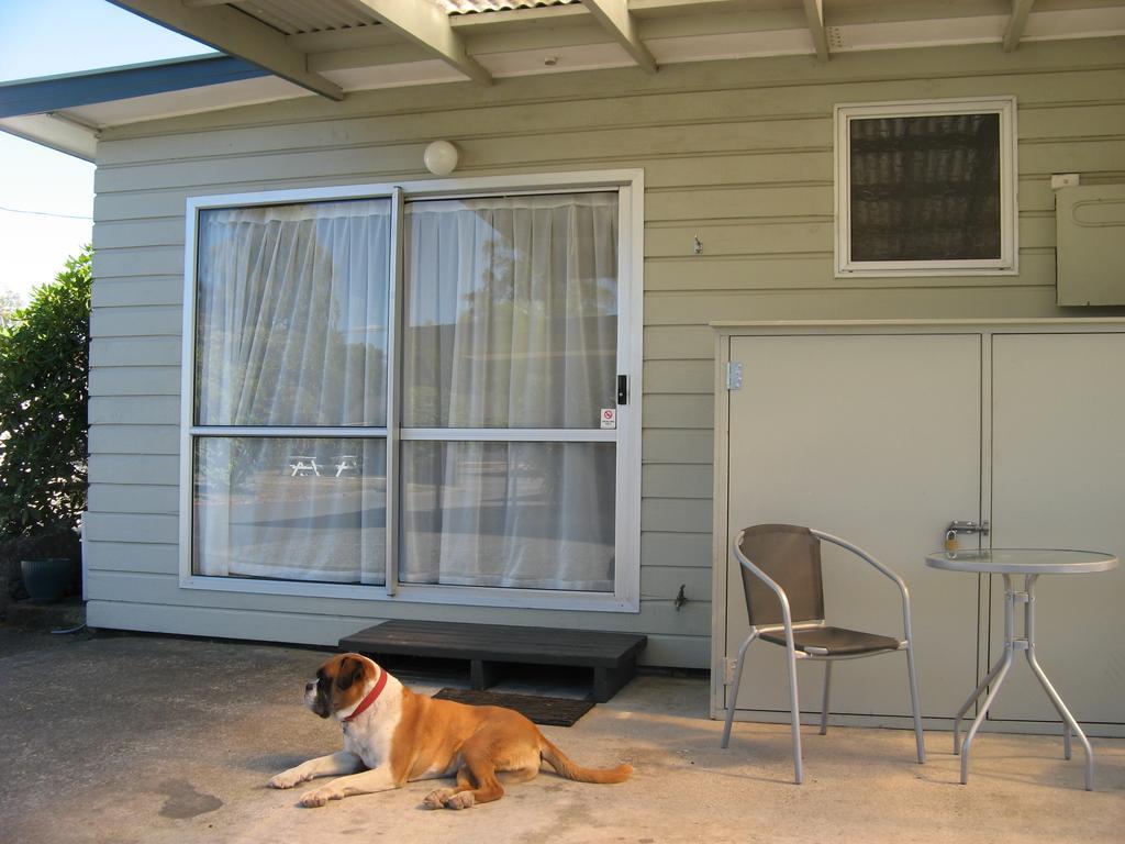 Tongariro River Motel トゥランギ 部屋 写真